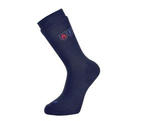 WORKSOCK FR